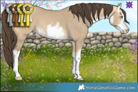 Horse Color:White Spotted Sable Cream Champagne Dun