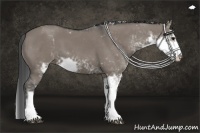 Horse Color:Grullo Sabino
