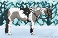 Horse Color:Smoky Grullo Roan Tobiano 