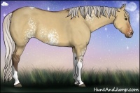 Horse Color:White Spotted Silver Bay Dun Tobiano 