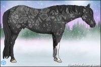 Horse Color:Smoky Black Ice 