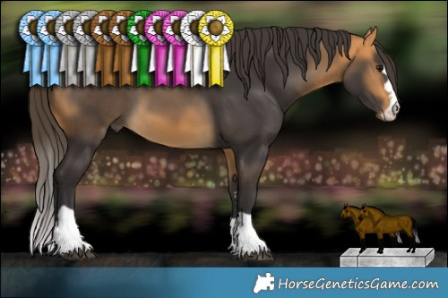 Horse Color:Buckskin 