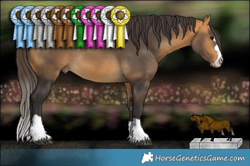 Horse Color:Buckskin 