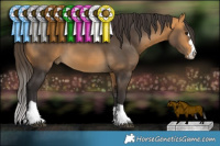 Horse Color:Buckskin 