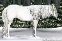 Horse Color:White Spotted Silver Amber Cream Champagne Ice Dun 