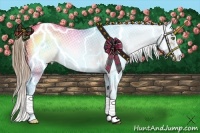 Horse Color:Liver Chestnut Pearl Sabino Rabicano 