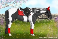 Horse Color:Smoky Black Tobiano 
