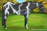 Horse Color:Black Frame 