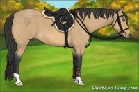 Horse Color:Buckskin Roan 