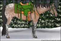 Horse Color:Buckskin Ice 