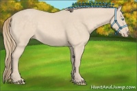 Horse Color:Perlino 