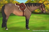 Horse Color:Buckskin Frame 