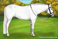 Horse Color:Silver Bay Frame Appaloosa 