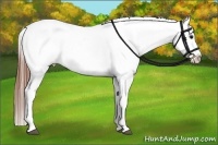 Horse Color:Bay Roan Blanket