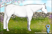 Horse Color:Gray Buckskin Splash Tobiano Rabicano