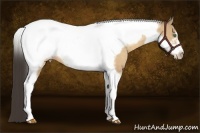 Horse Color:Amber Cream Champagne Tobiano Frame 