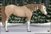 Horse Color:Black Pearl Splash 