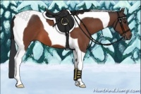 Horse Color:Bay Roan Tobiano 