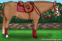 Horse Color:Chestnut Splash 