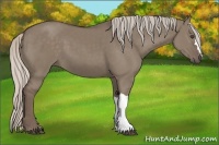 Horse Color:Silver Grullo 