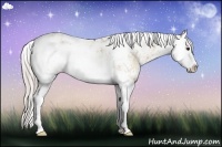 Horse Color:Silver Bay Dun Sabino Splash Rabicano 