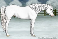 Horse Color:Silver Brown Fewspot