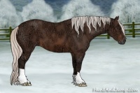 Horse Color:Silver Brown Ice 