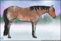 Horse Color:Bay Ice 