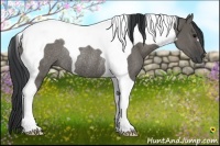 Horse Color:Grullo Tobiano Rabicano 