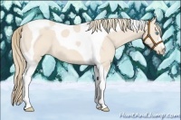Horse Color:Perlino Tobiano