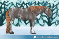 Horse Color:Liver Chestnut Ice Sabino Tobiano
