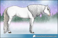 Horse Color:Chocolate Palomino Frame Appaloosa 