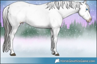 Horse Color:Liver Chestnut Frame 