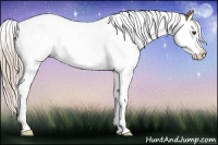 Horse Color:Palomino Roan Splash 