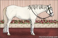 Horse Color:Perlino Roan Dun Splash