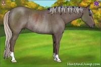 Horse Color:Silver Black Rabicano 