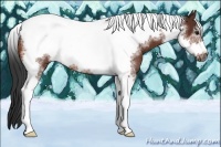 Horse Color:Bay Tobiano Frame Rabicano 