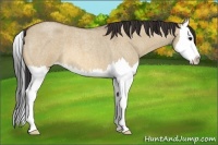 Horse Color:Bay Roan Dun Splash 