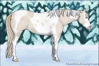 Horse Color:Smoky Creme Splash Tobiano 