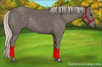 Horse Color:Silver Black Rabicano 