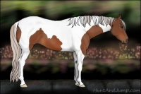 Horse Color:Silver Bay Tobiano 