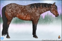 Horse Color:Bay Ice 