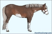 Horse Color:Silver Black Sabino 