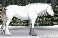 Horse Color:Buckskin Ice Appaloosa Rabicano 