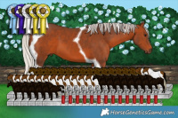 Horse Color:Silver Brown Tobiano 