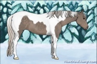 Horse Color:Silver Black Tobiano