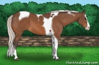 Horse Color:Silver Bay Splash Tobiano