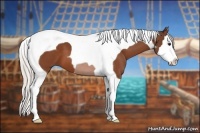 Horse Color:Silver Bay Splash Tobiano 