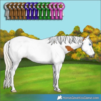 Horse Color:Gray Silver Buckskin Splash Tobiano 