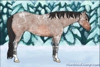 Horse Color:Bay Ice Roan 